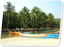 Baga Beach, Goa