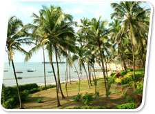 Candolim Beach, Goa